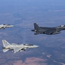 F-5 헤럴드경제