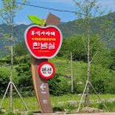 한밤실마을 네이버블로그