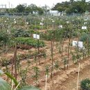 도시농장 이미지