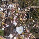 수정한의원 이미지