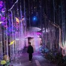 광명누리길 2코스 | 광명동굴 입장료 50% 할인 꿀팁 공룡탐험전 후기