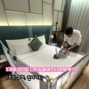 씨에스타 | 5개월 아기랑 나트랑 씨에스타호텔 숙박 후기(조식, 위치, 침대 가드)