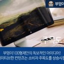 부엉이100형제