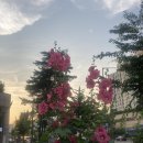 서예A반 | 06-2 한 사람당 하나의 사랑이 있었대