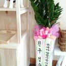 뽀뽀하니 네이버블로그