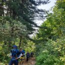 Re: [총산 백두대간 공지] 축령지맥 종주산행 결과 보고 이미지