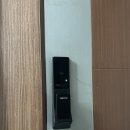 은파코아루 이미지