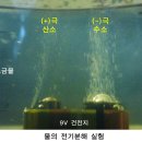 수소수이야기 이미지