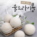 다옴드라이 이미지
