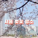 136(석촌호수 서호) 이미지
