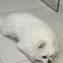 오롯,네일 | 오롯네일 | 겨울에 찰떡 크리스마스 네일아트 마곡네일샵 재방문