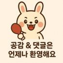 서래마을 뜨라또리아 로마냐 ROMAGNA 레스토랑 방문 후기