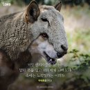 베드로후서 2:1 – 2:11 거짓 교사에게 임할 심판과 멸망 / 이미지첨부 이미지