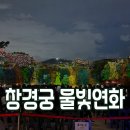 당지 | 2025 창경궁 물빛연화 대춘당지 관람 후기! 일정, 입장료, 관람 꿀팁 총정리