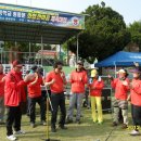 미로초등학교 Daum카페