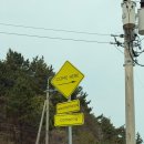 자매떡방앗간 | 우니메이카캠핑장(전남 장흥군) 후기 2026.4.3.~4.5.