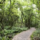 보성초신평분교장 이미지