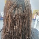 코코헤어 이미지