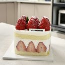 마포-현장-마포-1479 | 홍대 연남동 케이크 맛집 딸기케이크 미니 내돈내산 솔직후기 ( 키친205 비교 )