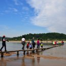 무섬마을 이미지