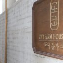도시농가코페