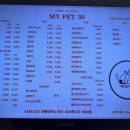 마이펫 애견 미용 이미지