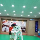 백인 합기도 이미지