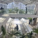 수서로 | 수서 하우스웨딩 | 식물관ph웨딩 - 하객방문후기