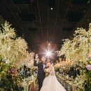 호텔앙코르 이미지