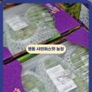 영동농장 | 충북 영동군 샤인머스켓 제철 농장 가볼만한곳