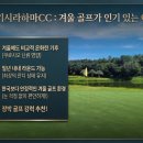법인선주 | [일본 골프 회원권] 실용성 200%! 평생 혜택으로 누리는 난키시라하마CC 완벽 가이드 (겨울 골프/미식...