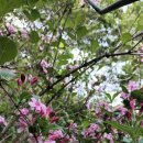 천시원교육농장 이미지