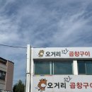 논산역 | [논산역맛집]논산 오거리곱창 한우모듬곱창 리얼 후기!