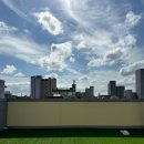 핫도그 반려견 유치원 이미지