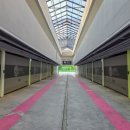 이지무인텔 이미지