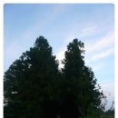 수옥목장 이미지