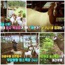 밍크목장 이미지