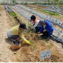 영종농장 이미지