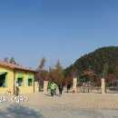 (주)가고파관광