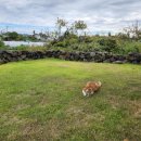 곽지머물다 이미지