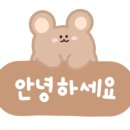 바바포레스트