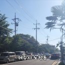 김용복참치 이미지