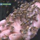 코리아헌터 Daum카페