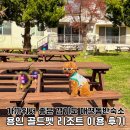 (주)에스에이치에너지 | 경기도 애견동반 숙소, 가까워서 좋은 용인 여행 골드펫리조트
