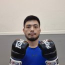 고릴라 복싱 | 페어텍스 MMA 글러브 추천 내구성과 착용감 솔직후기