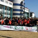 학생 나무심기 사진 미디어제주