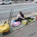학천변길 이미지