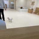 너와함개 이미지