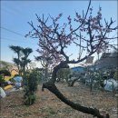 목향민박 이미지