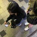 게스트하우스 어반 이미지